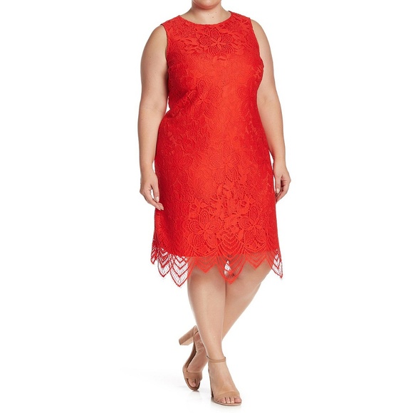 sharagano lace dress